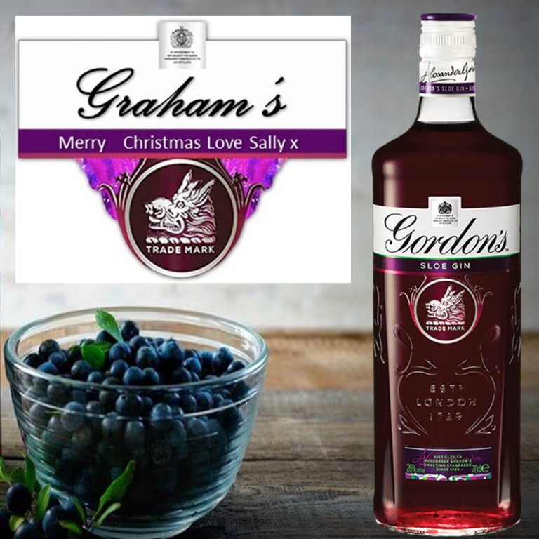 Gordon’s Sloe Gin 700ml Drinkland